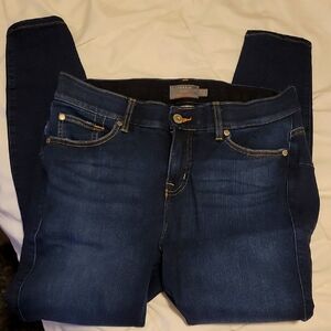 Torrid Bombshell Skinny Jeans